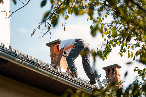 Best New Roof Installation  in Woodworth, LA